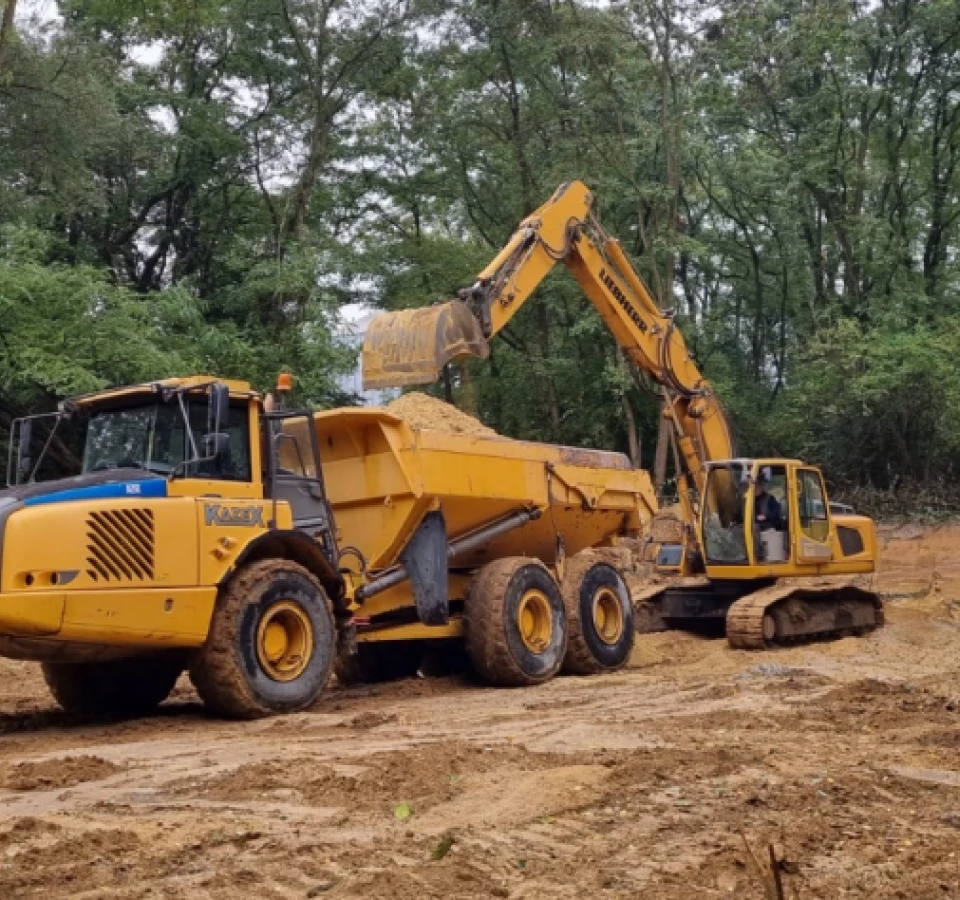 about collection image